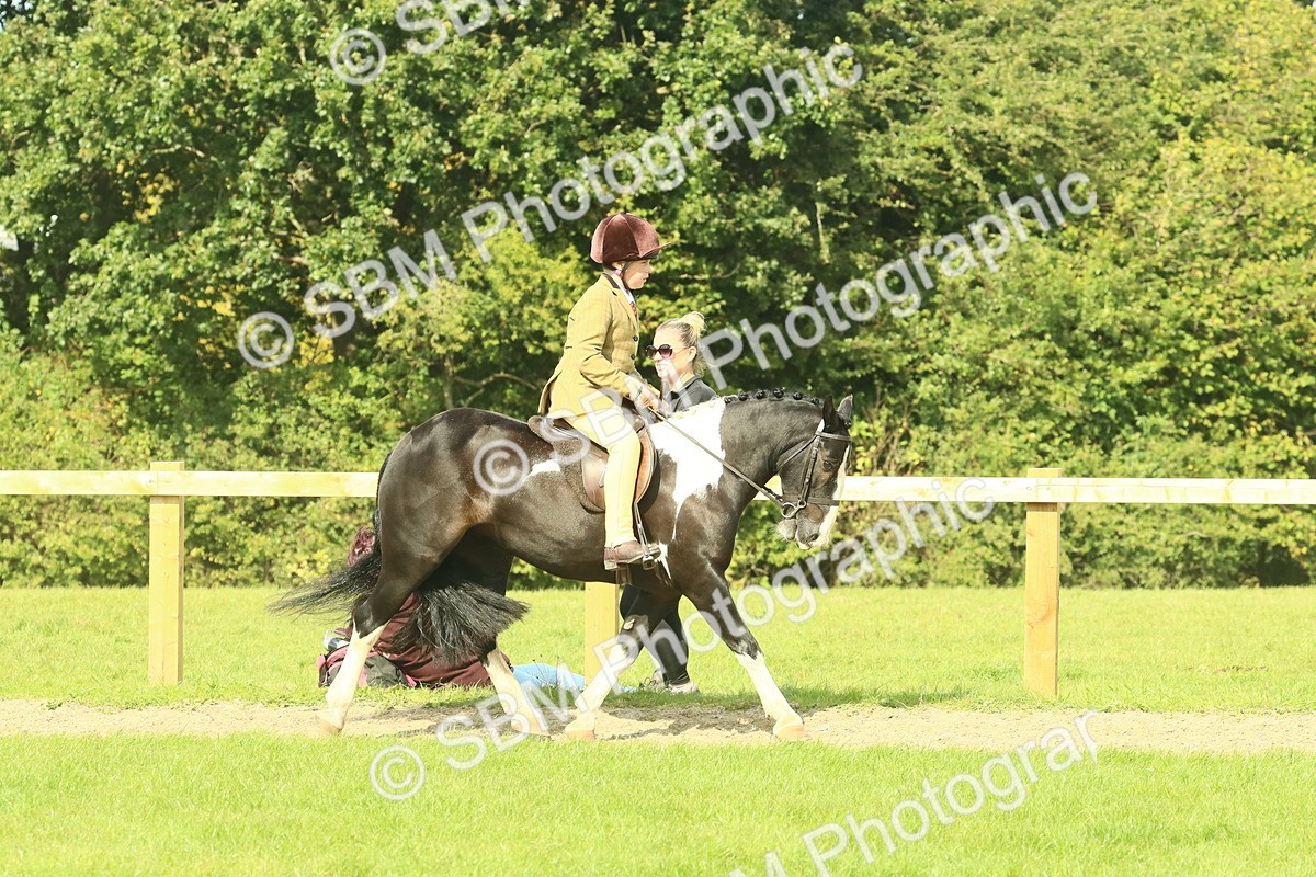 SBM_67409 - S56 - Coloured Pony Ridden