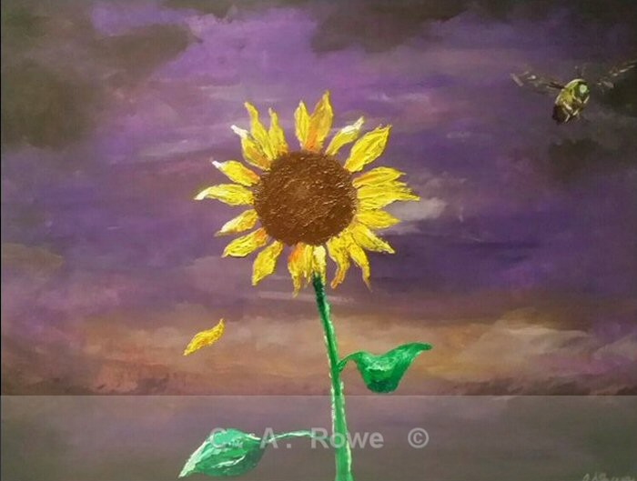 Flight of a Bumble Bee Around Dusk - Gallery 1