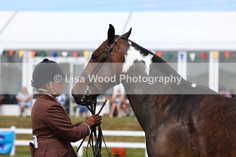 3E7A0095 - Class 5: Rising Star Lightweight/Heavyweight Cobs