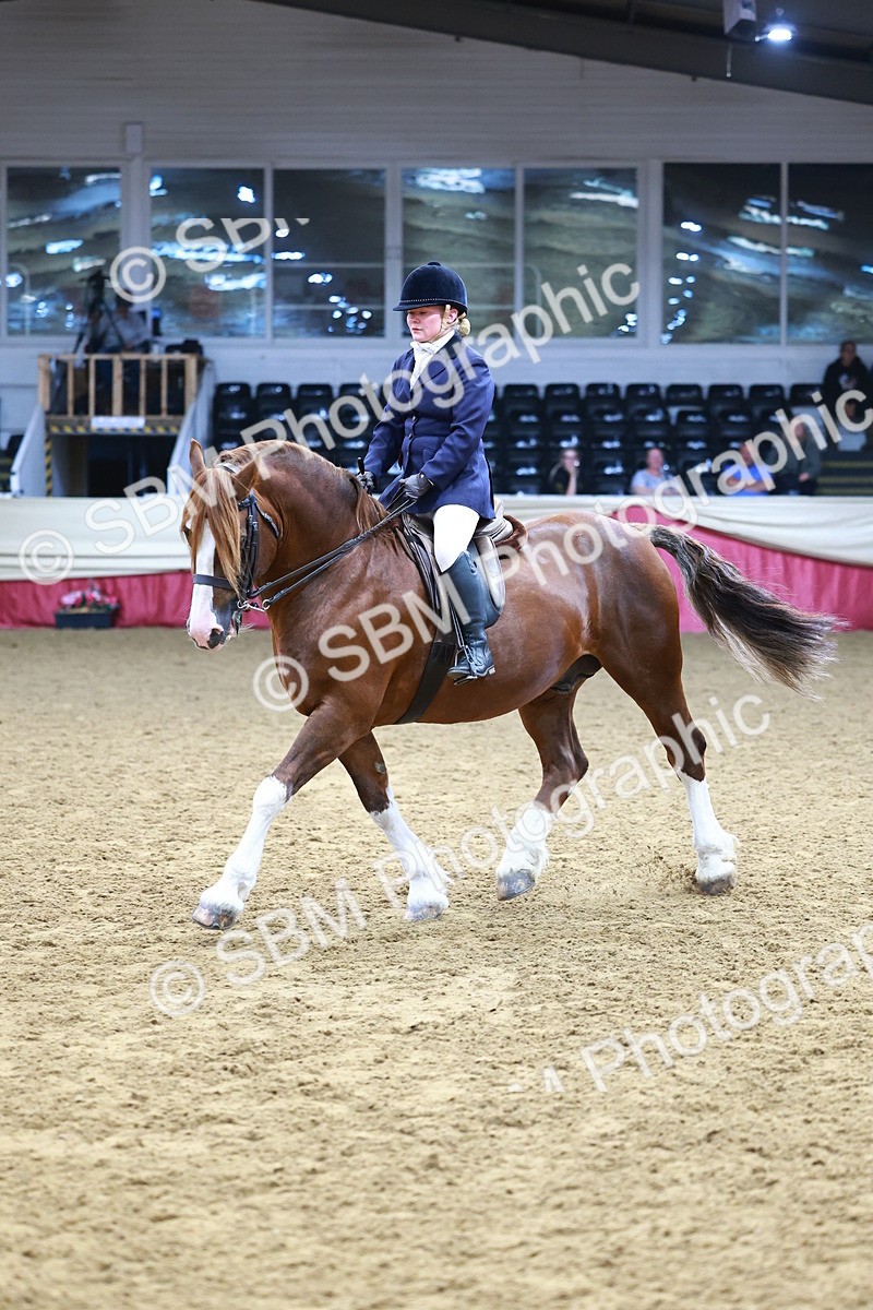 SBM_23409 - class 906 - Supreme Final - Ridden Pre Vet