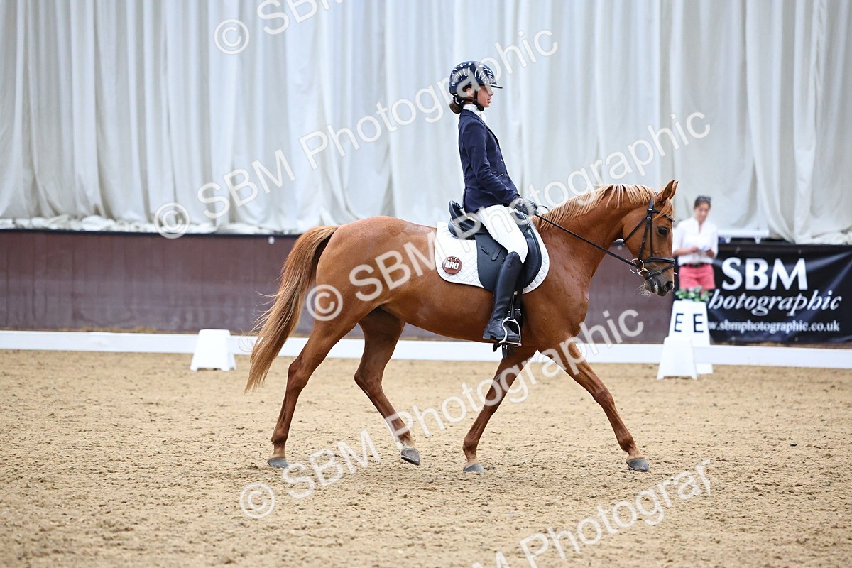 SBM_003963 - Novice 2