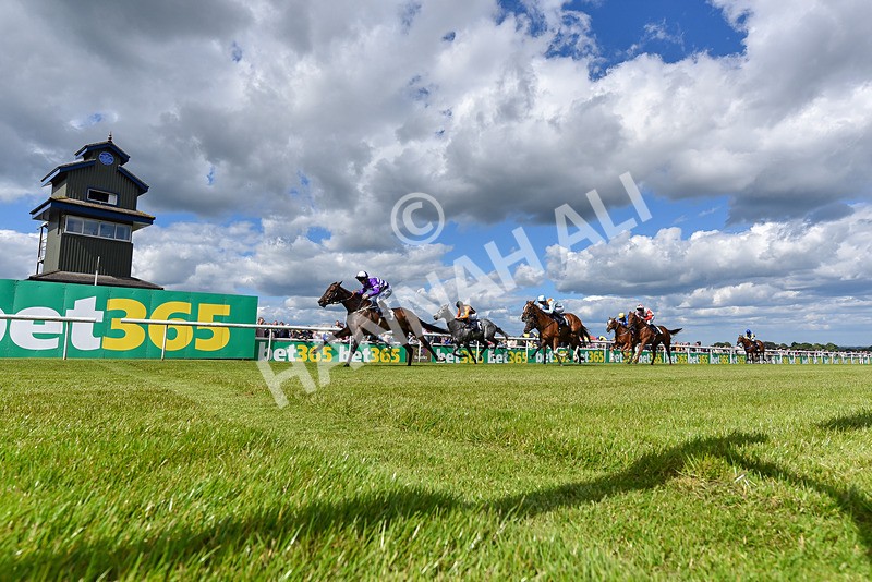 080624-Race 5-Ludos Landing-8180 - Race 5