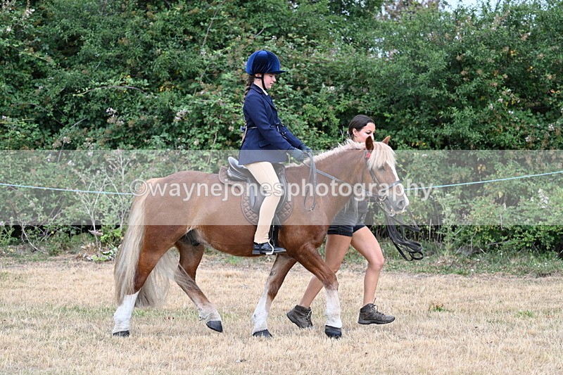 WJ7_0253 - Class 2 Best rider
