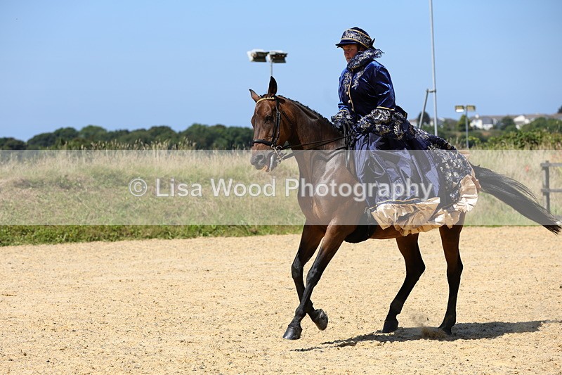 1X9A9013 - Class 24: Ridden Concours D'Elegance