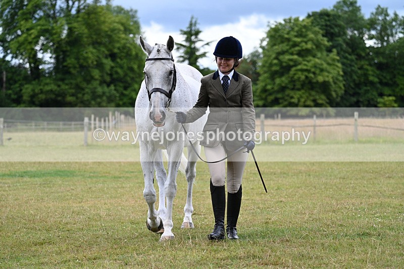 WJ7_6986 - Class 5a Most Handsome Gelding in Hand