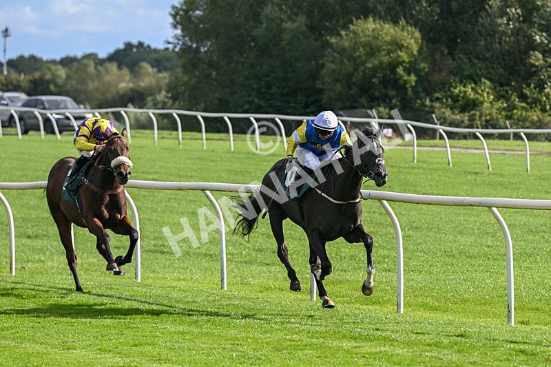 080926-Race 5-Lope Y Linda-2699 - Race 5 4.11pm Every Race Live On Racing TV Handicap