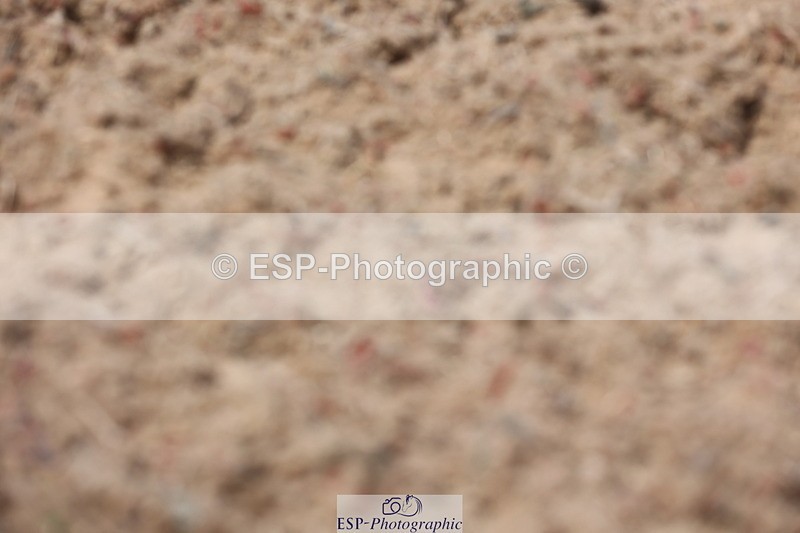 240621A-132409-01043 - Cls 15 BD Music Adv Medium