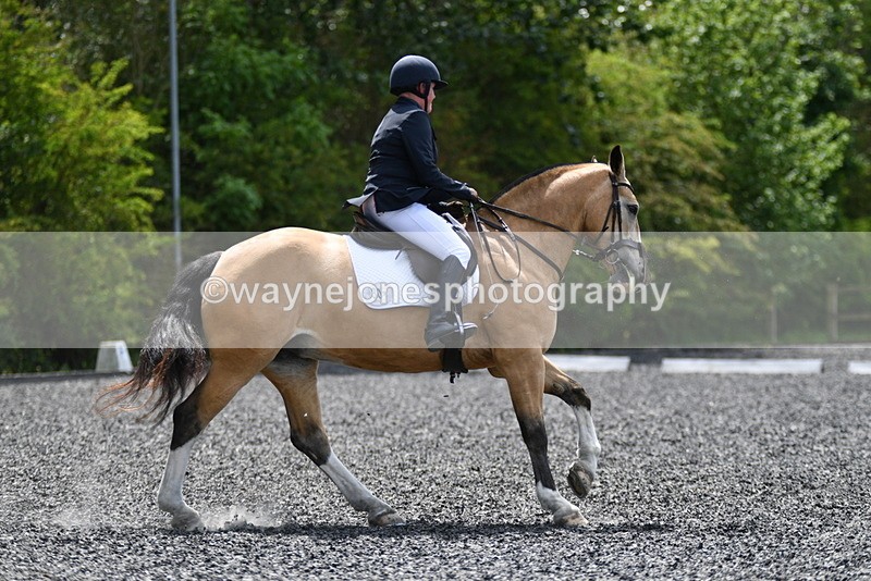 WJ5_0590 - Time 12:24 to 13:01