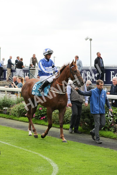 yr04092022r1-12 - Race 1 1.45pm IRE Incentive, It Pays To Buy Irish EBF Novice Stakes