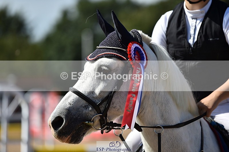 230903A-113606-04226 - Cls 18 Pony Brit Novice & 80cm Open