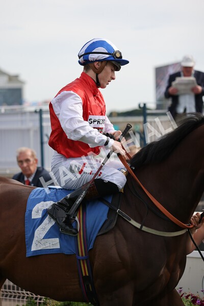 yr08072022r6-4 - Race 6 5.00pm Irish Thoroughbred Marketing Stakes