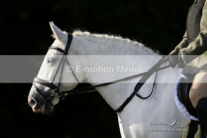 BVRC 120921 75 - Bourne Valley Riding Club UA Dressage & Show Jumping 12/09/21