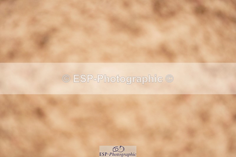 240524A-094754-02607 - Cls 13 Snr 1.05m and 1.10m