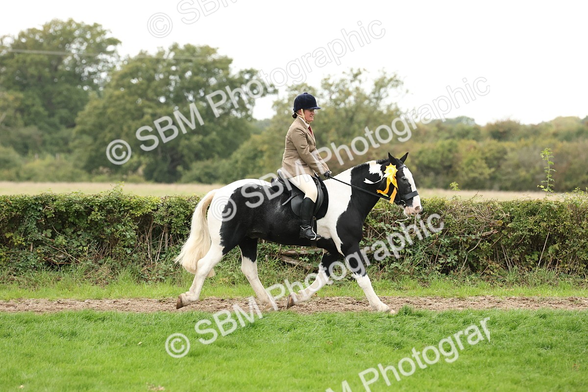 SBM_67339 - S67 - Piebald & Skewbald Horse Ridden