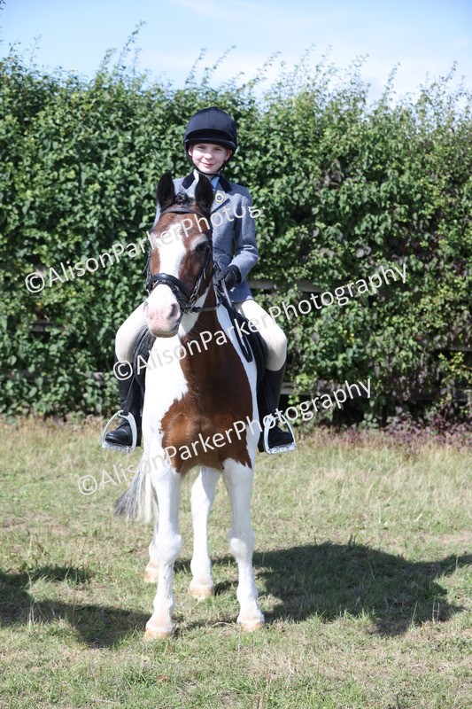 20250831-2541 - Class 16 - Family Pony