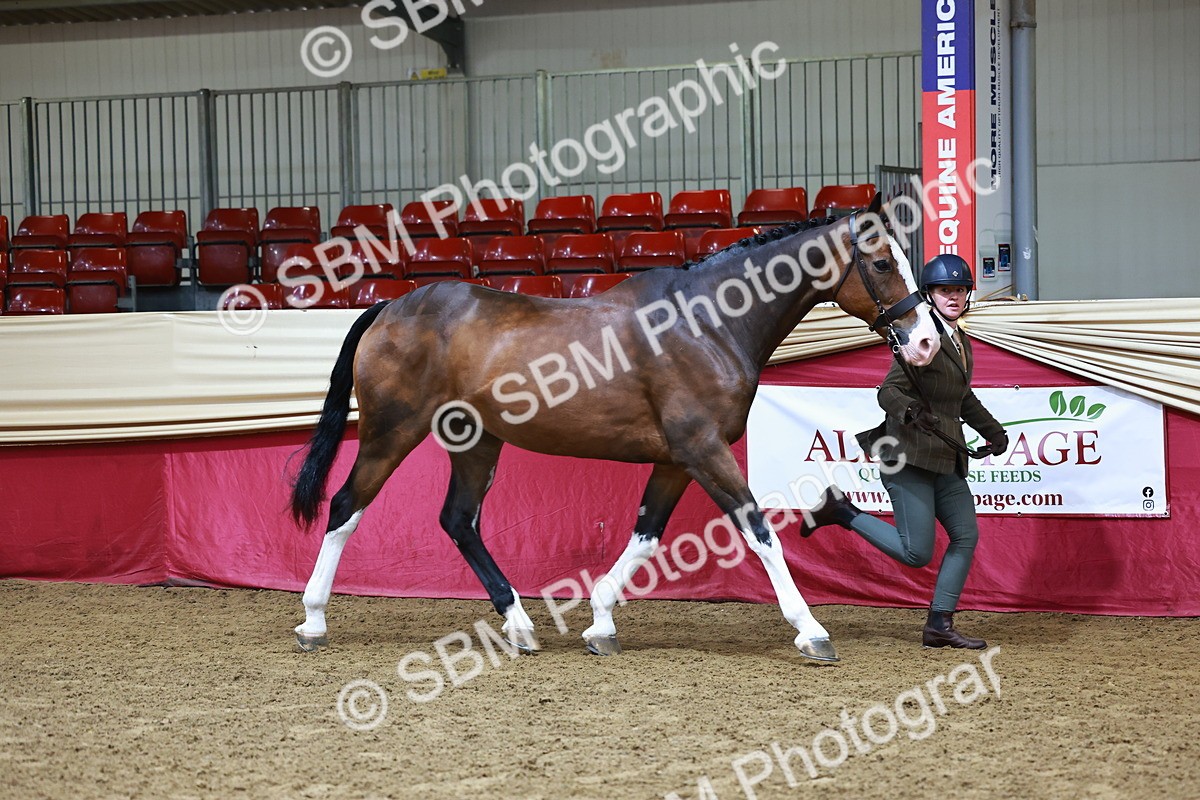 SBM_22145 - Class 902 - Supreme Final - IH Diamond