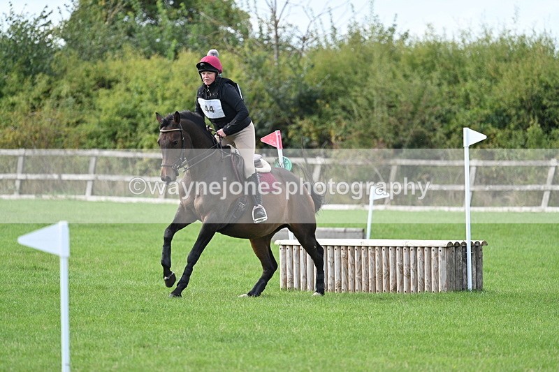 WJ7_8360 - 60cm Pairs