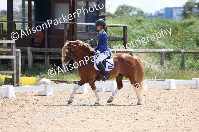 20250614-0753 - Class 4 - Novice 2