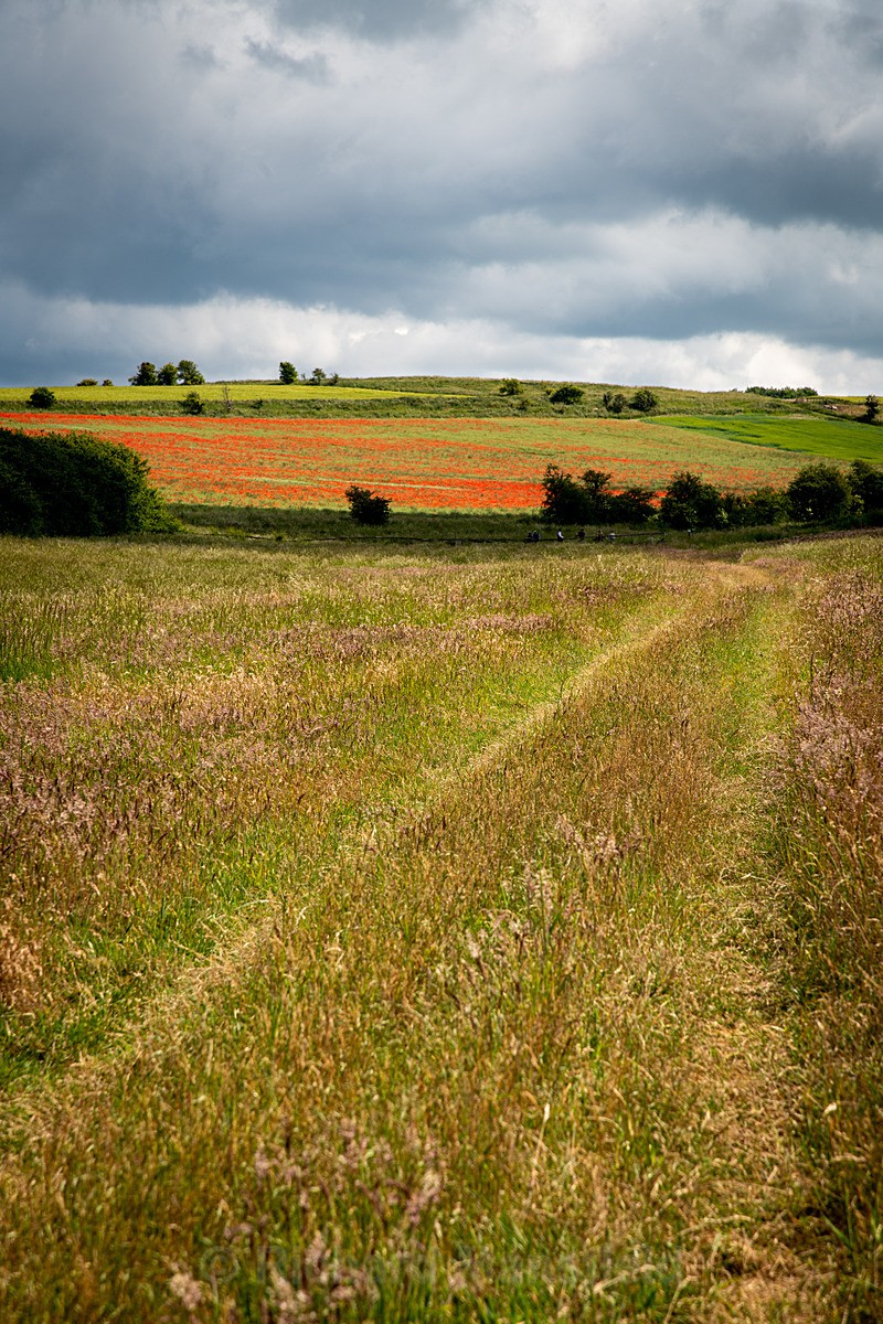  - Landscape
