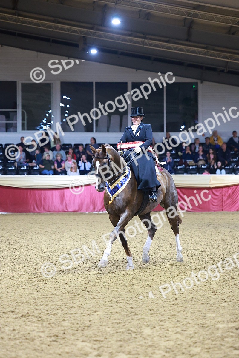 SBM_15052 - Class N - Side Saddle Champ