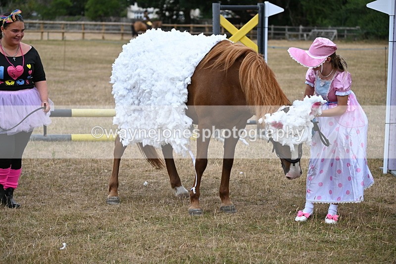 WJ6_8720 - Class 11 Fancy Dress