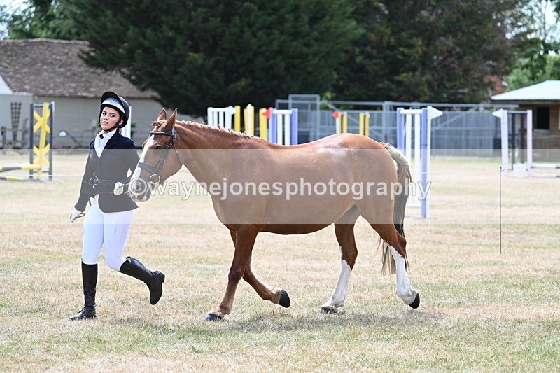 WJ7_1976 - Class 4a Prettiest Mare 14.2hh and over hand