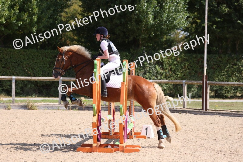 20250810-0810 - Class 3 - 60cm