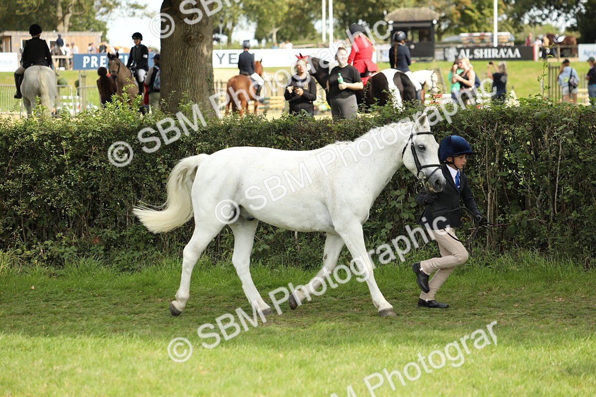 SBM_67712 - S39 - Junior Handler 8  Years & Under