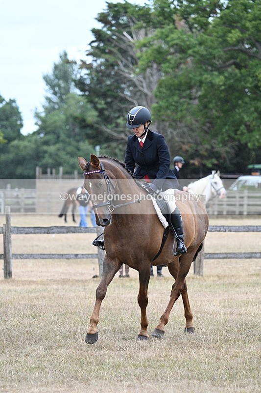 WJ7_0861 - Class 7 Riding Club Show Horse