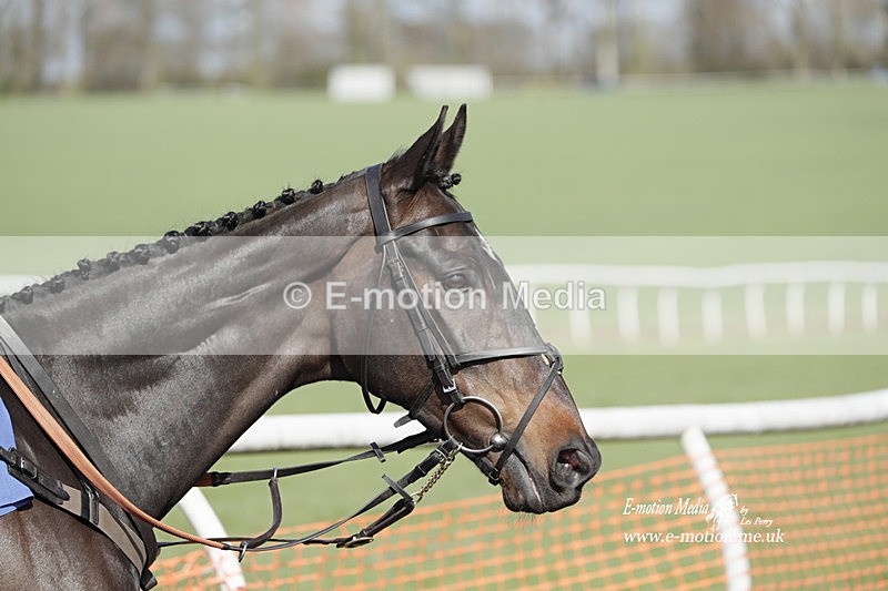 PtP 100423 819 - Old Berkshire Point-to-Point Lockinge 10/04/23