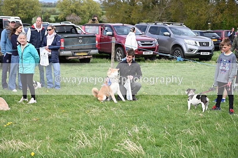 WJ6_8597 - Class 6 Best Rescue