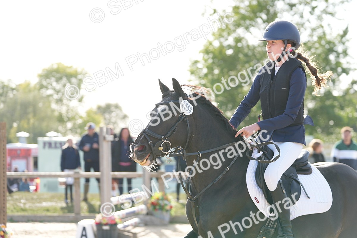 SBM_51104 - J8 - Junior Pony 65cm Championship