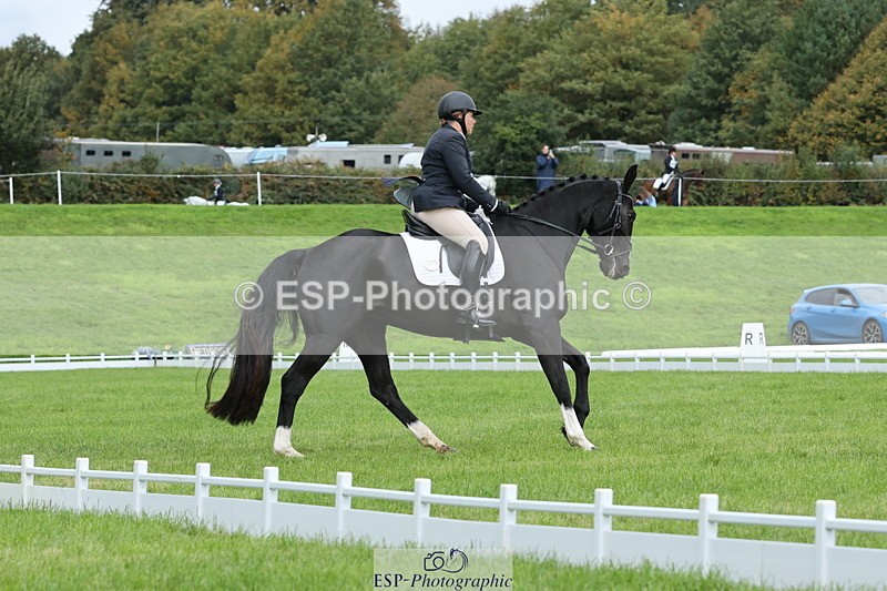 251023A-113930-03384 - D-315-Georgina.Marks