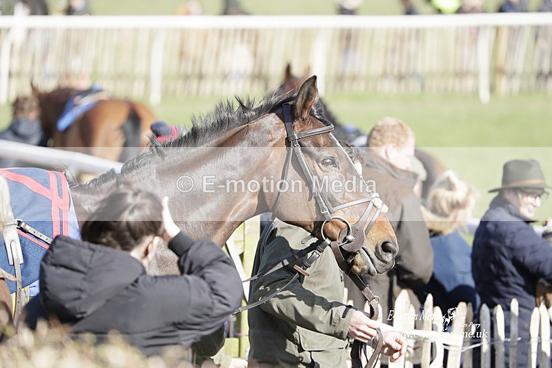 PtP 100423 985 - Old Berkshire Point-to-Point Lockinge 10/04/23