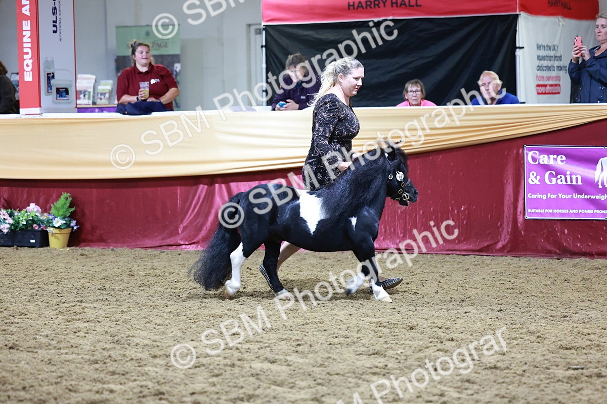 SBM_21060 - Class P - M&M Champs