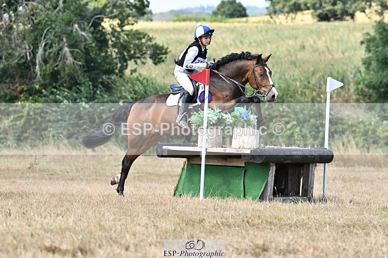 250824A-144832-38609 - 2147-George.Walford-meadow.sweet.conker