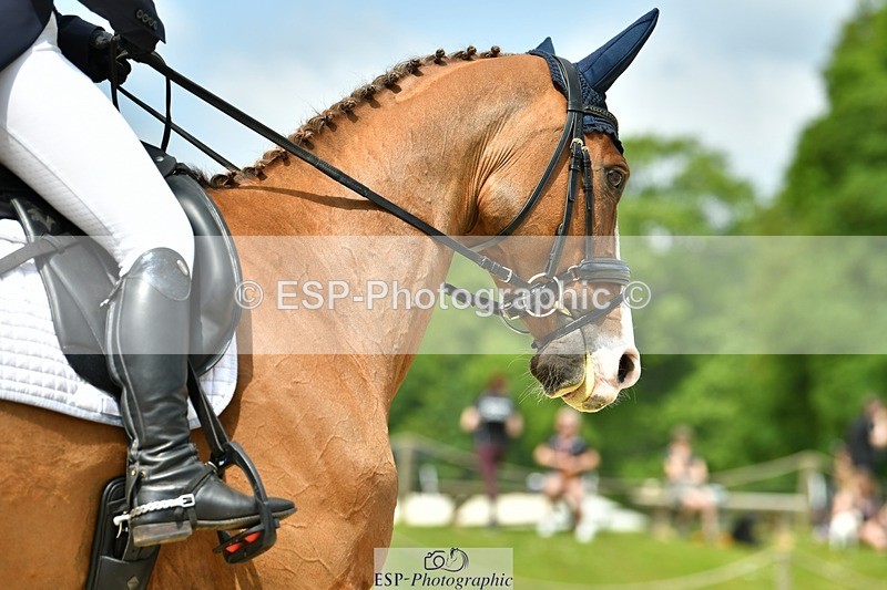 230525-115413-04120 - 204-INDIAN_GIRL_G-Jasmine_Underwood-WEDTrotUp+DR