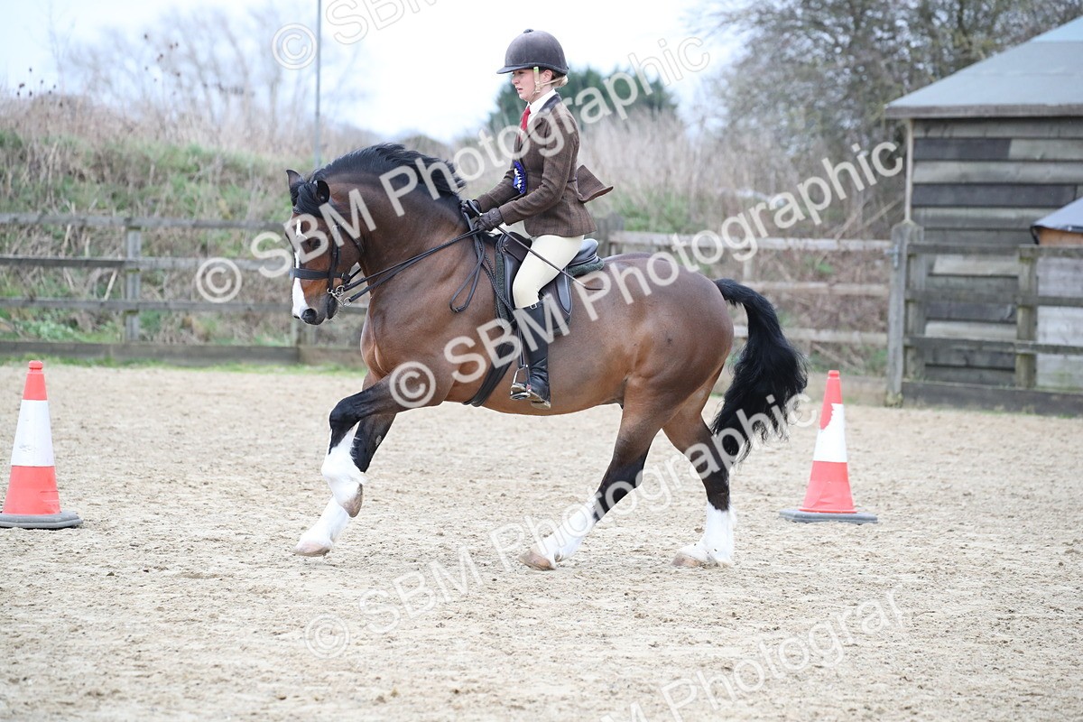 SBM_007091 - Class 10-13 - RIHS Small Large Breeds