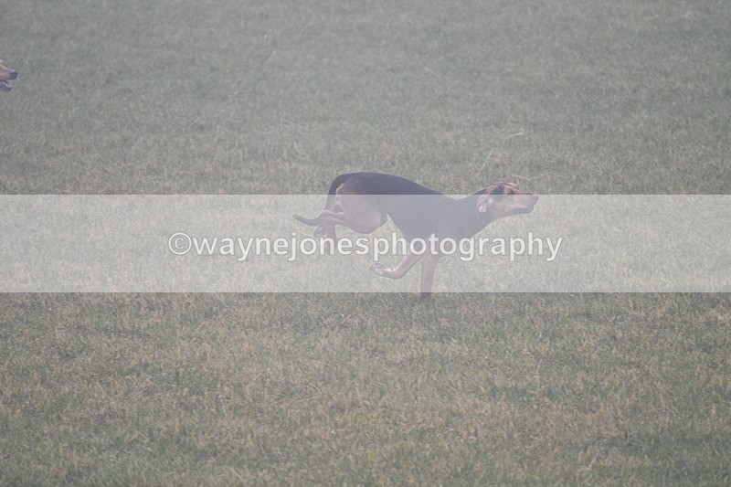 WJ7_3144 - A camera