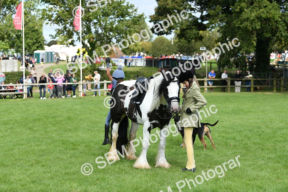 SBM_46948 - S12 - Family Horse & Pony