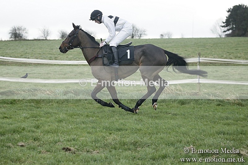 PtP 031217 373 - Hursley Hambledon Point-to-Point Larkhill 03/12/17