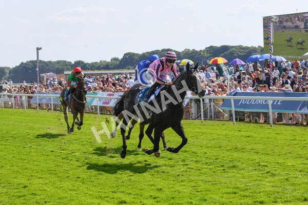 160623-Race 4-Chichester-0485 - Race 4 3.35pm Seat Unique Ganton Stakes