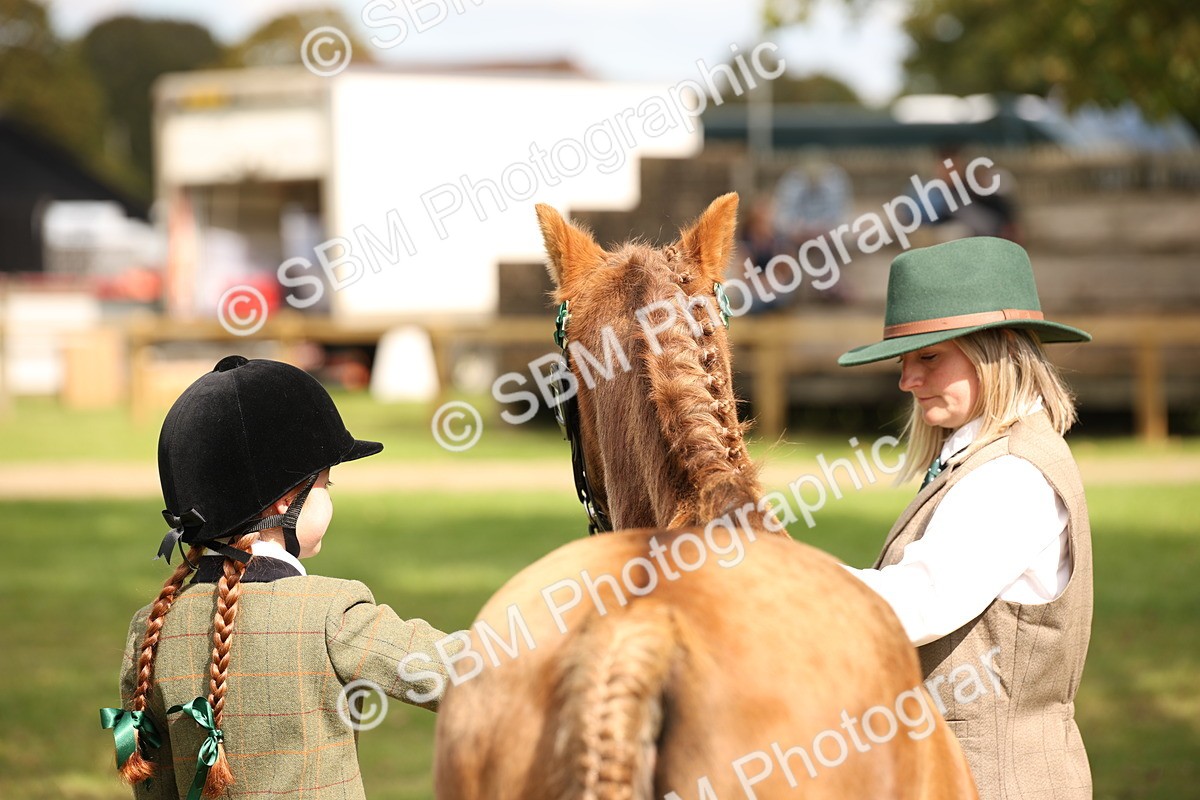 SBM_46348 - S25 - Mature Veteran In Hand