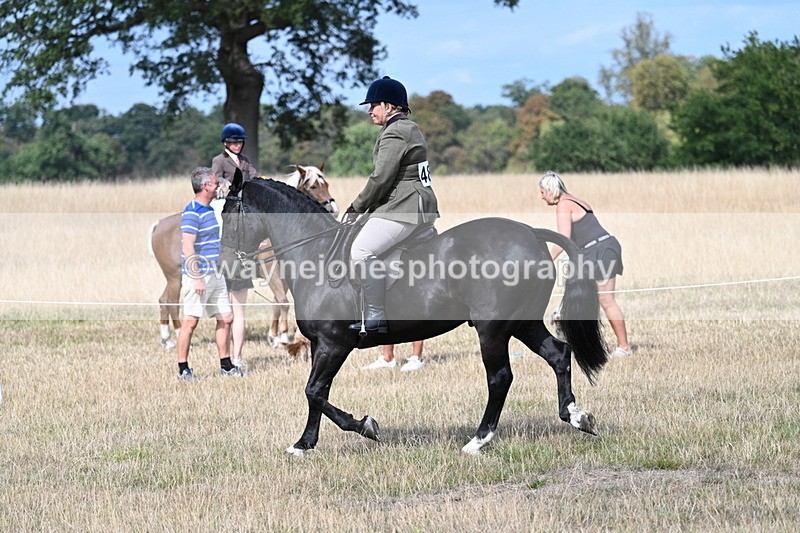 WJ7_5877 - Class 13 Ridden Veterans