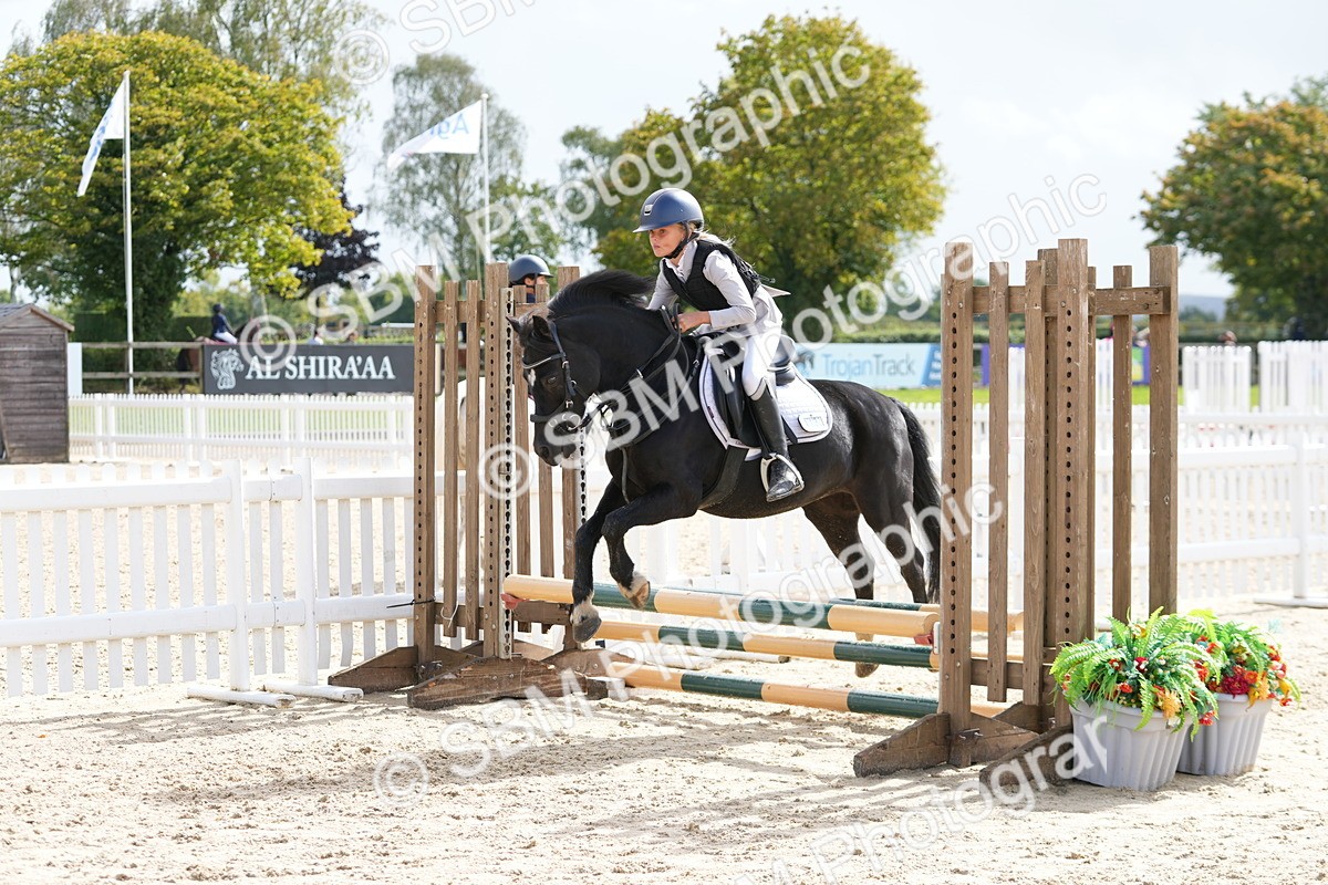 SBM_40760 - Supreme Championship Pony 50-55cm