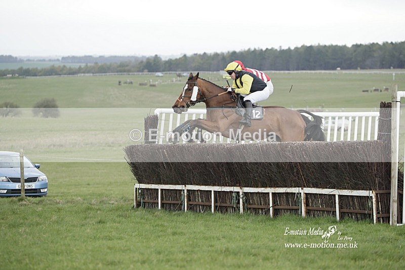 PtP 260323 0589 - New Forest Hounds Point-to-Point Larkhill 26/03/23