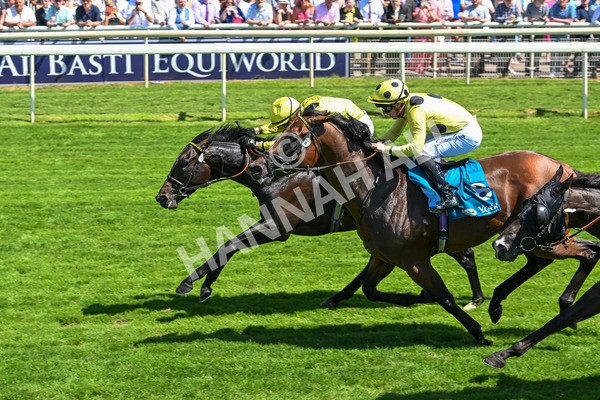 120725-Race 1-Remmooz-5522 - Race 1 2.00pm John Smith's Racing Handicap