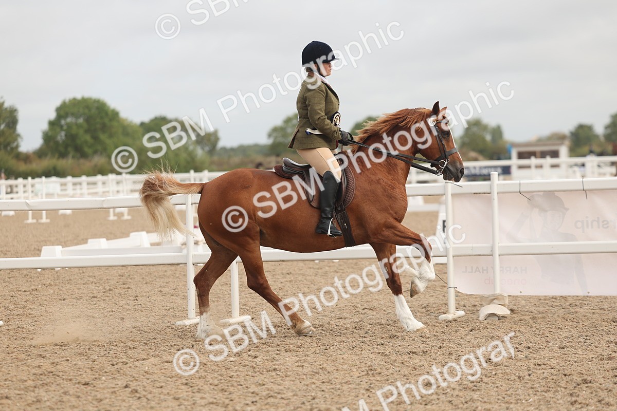 SBM_02046 - Class 14 - Ridden M&M Wildcard