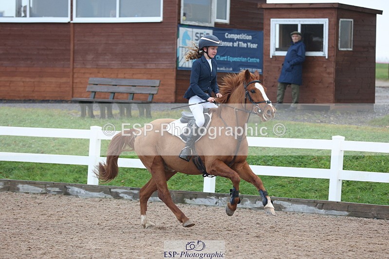 231112A-094000-03012 - Cls 17 Blue Chip Novice Winter Qualifier