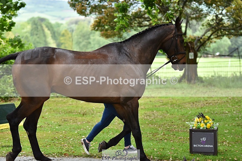 240522-155504-00587 - 165-RIDIRE_DORCHA-Lucy_Stimson